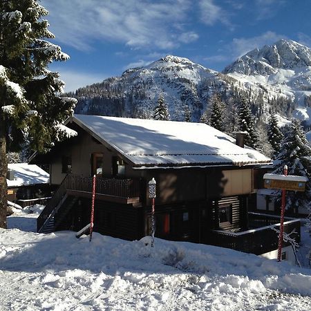 Haus Petra Villa ซอนเนนอัลเพอ นัสส์เฟลด์ ภายนอก รูปภาพ